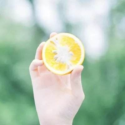 平安学园物语破解版下载